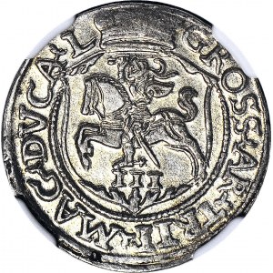Zygmunt II August, Trojak 1564, Wilno, menniczy
