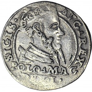 R-, Zygmunt II August, Grosz na stopę polską 1567, Tykocin