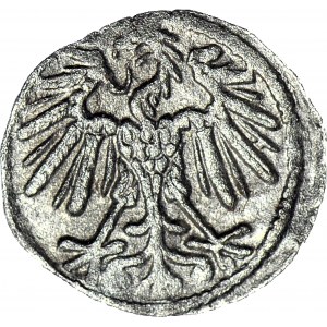 RRR-, Zygmunt II August, Denar 1551 Wilno, T.35mk, R7