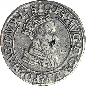 RR-, Zygmunt II August, Czworak 1568, Wilno, DATA ODDALONA, rzadki (3 szt. na 76)