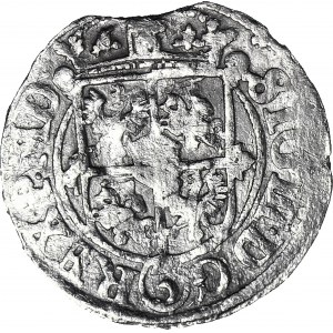 Zygmunt III Waza, Półtorak 1620, Ryga, Lis, punca Potockich