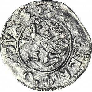 R-, Pomerania, Principality of Szczecin, Boguslaw XIV, Double Shelrog 1628, Szczecin, R3