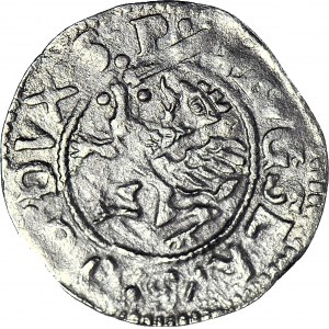 R-, Pommern, Fürstentum Stettin, Boguslaw XIV, Doppelter Shelrog 1628, Stettin, R3