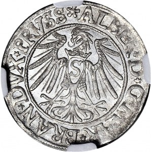 Lenne Prusy Książęce, Albrecht Hohenzollern, Grosz 1538, Królewiec, 7 piór, menniczy