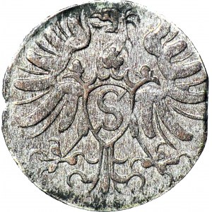 RR-, Lenne Prusy Książęce, Albrecht Fryderyk, Denar Królewiec 1571, piękny