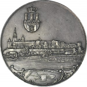 R-, Medal 1905, Towarzystwo Ogrodnicze w Kraków, srebro 50mm, oryginalne bicie