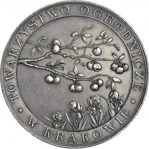 R-, Medal 1905, Towarzystwo Ogrodnicze w Kraków, srebro 50mm, oryginalne bicie