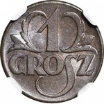 1 grosz 1923, menniczy, kolor BN<br/>