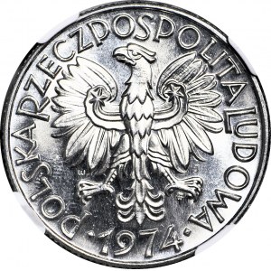 5 złotych 1974, Rybak, wyjątkowo nietypowy efekt LUSTRO w centralnej części