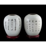 A pair of painted porcelain ginger jars, China, Qing dynasty (1644-1912), 19th century