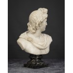 Male bust, Male bust
