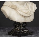 Male bust, Male bust
