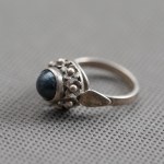 Agate Klodzko. A ring of flowers with blue eyes.