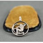 Warmet. Sagittarius zodiac sign pendant.