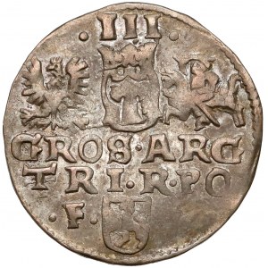 Zygmunt III Waza, Trojak Wschowa 1599
