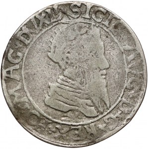 Zygmunt II August, Falsyfikat z epoki Czworaka Wilno 1568