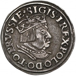 Zygmunt I Stary, Trojak Gdańsk 1536 - DANNC3K