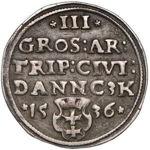 Zygmunt I Stary, Trojak Gdańsk 1536 - DANNC3K
