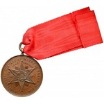 Medal z Gwiazdą Wytrwałości Powstania listopadowego - w jego 50. Rocznicę (1881)