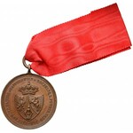 Medal z Gwiazdą Wytrwałości Powstania listopadowego - w jego 50. Rocznicę (1881)