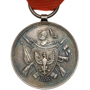 Medal Towarzysz Broni 1863/4 - dla uczestników Powstania styczniowego