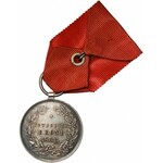 Medal Towarzysz Broni 1863/4 - dla uczestników Powstania styczniowego