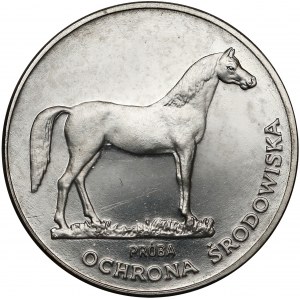 Próba NIKIEL 100 złotych 1981 Koń