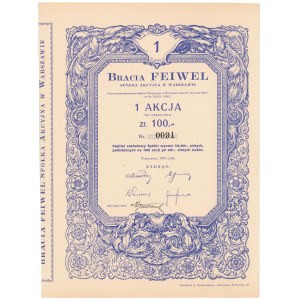 Bracia FEIWEL, 100 zł 1931