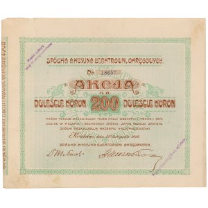 Spółka Akc. Elektrowni Okręgowych, 200 koron 1919
