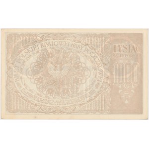 1.000 mkp 05.1919 - Ser.ZL