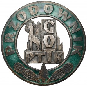 Odznaka Przodownika Turystki Górskiej GOT PTTK