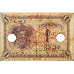 1 złoty 1919 - WZÓR - S.46 B