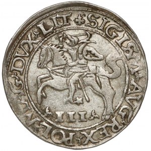 Zygmunt II August, Trojak Tykocin 1565 - Szyderczy - LIT