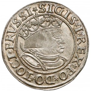 Zygmunt I Stary, Grosz Toruń 1532 - piękny