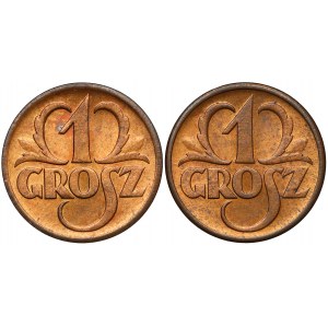 1 grosz 1938 - mennicze (2szt)