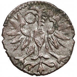 Zygmunt III Waza, Denar Wschowa 1592 CWF - RZADKOŚĆ
