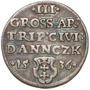 Zygmunt I Stary, Trojak Gdańsk 1536 - DANNCZK