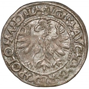 Zygmunt II August, Półgrosz Tykocin 1566 - MAŁY Jastrzębiec - b.rzadki