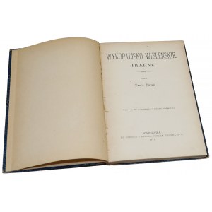 Wykopalisko Wieleńskie, K. Beyer 1876