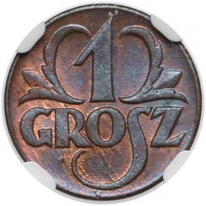 1 grosz 1923