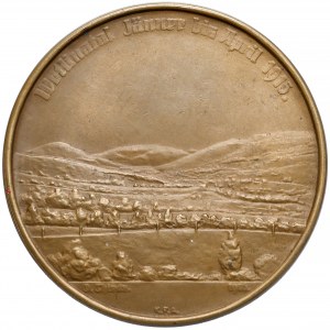 Austria, Franciszek Józef I, Medal Hermann Sallagar 1915