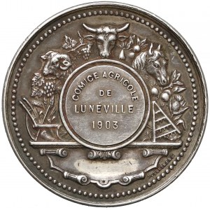 France, Medal - Agricultural Exhibition Lunéville 1903