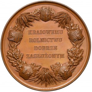 Medal Towarzystw Rolnicze 1858 r., Warszawa - WYŚMIENITY