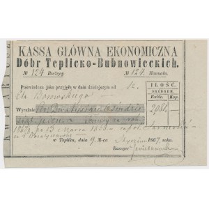 Dobra Teplicko-Bubnowieckie, Kwit kasowy 1867