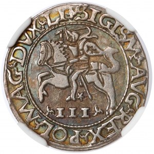 Zygmunt II August, Trojak Tykocin 1565 - Szyderczy - LI