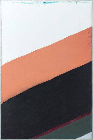 Stanisław Fijałkowski (1922-2020), Trzecia podróż, 2000