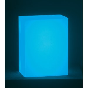 Leon Tarasewicz, LIGHTBOX, 2016