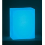 Leon Tarasewicz, LIGHTBOX, 2016