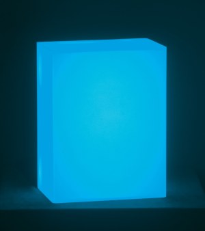 Leon Tarasewicz, LIGHTBOX, 2016