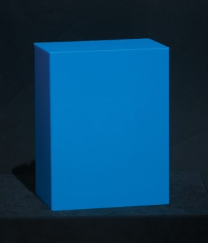 Leon Tarasewicz, LIGHTBOX, 2016